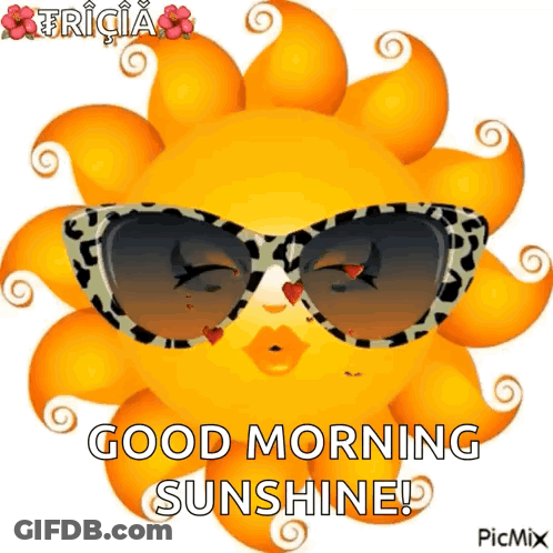 A Cartoon Sun Wearing Sunglasses With The Words Good Morning Sunshine Written On It GIF