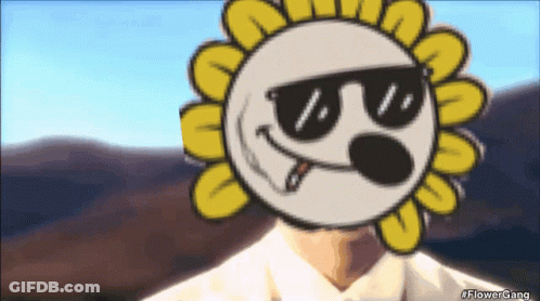A Cartoon Sunflower Wearing Sunglasses And A Cigarette GIF