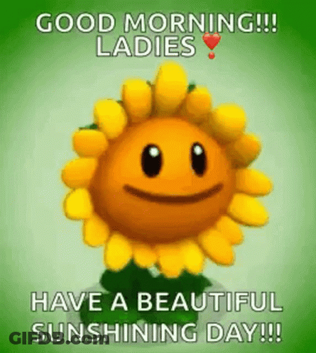 A Cartoon Sunflower With A Face On It Is Saying `` Good Morning Ladies Have A Beautiful Sunshine Day ! '' GIF
