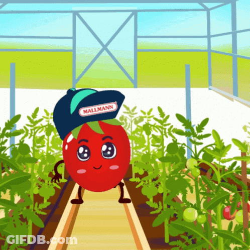 A Cartoon Tomato Wearing A Mallmann Hat GIF