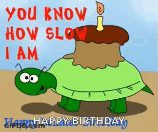 A Cartoon Turtle With A Birthday Cake On Its Back GIF