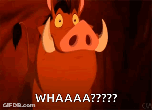 A Cartoon Warthog From The Lion King Is Standing In A Cave And Says Whaaa ? GIF