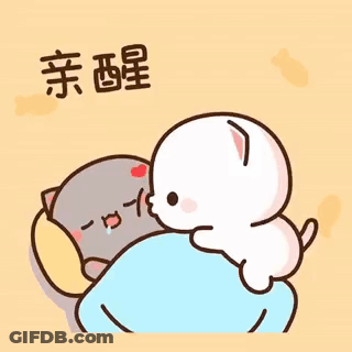 A Cat And A Dog Are Sleeping Next To Each Other In A Bed . GIF