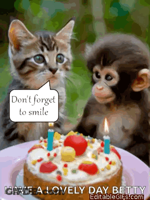 A Cat And A Monkey Sitting Next To A Birthday Cake With Candles GIF