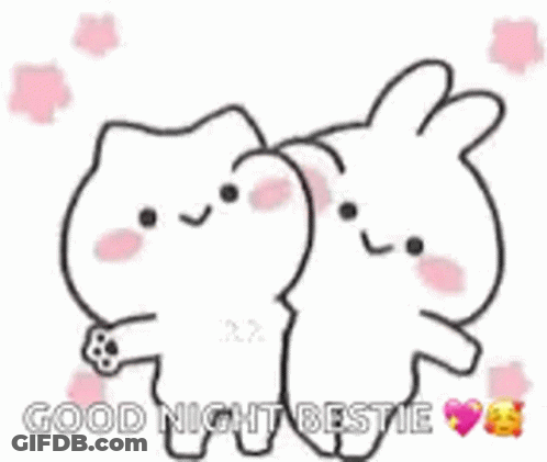 A Cat And A Rabbit Are Hugging Each Other And Saying Good Night Bestie . GIF