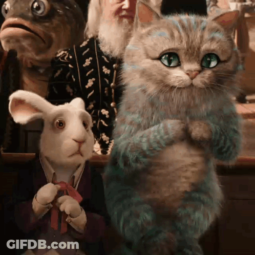A Cat And A Rabbit Are Standing Next To Each Other In Front Of A Fish GIF