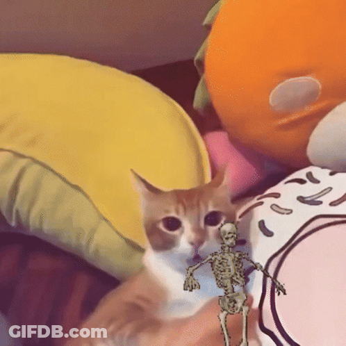 A Cat And A Skeleton Are On A Bed GIF
