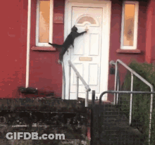 A Cat Climbs Up A Set Of Stairs To Reach A Door GIF