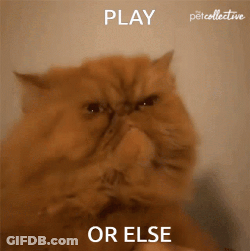 A Cat Covering Its Nose With Its Paw And The Words Play Or Else Behind It GIF