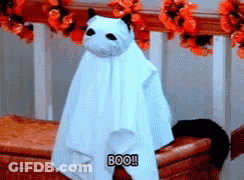 A Cat Dressed As A Ghost With The Word Boo Written On It GIF