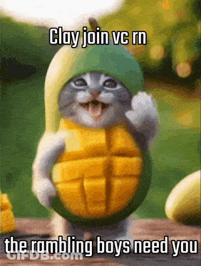 A Cat Dressed As A Mango With The Words Clay Join Vc Rn The Rombling Boys Need You GIF