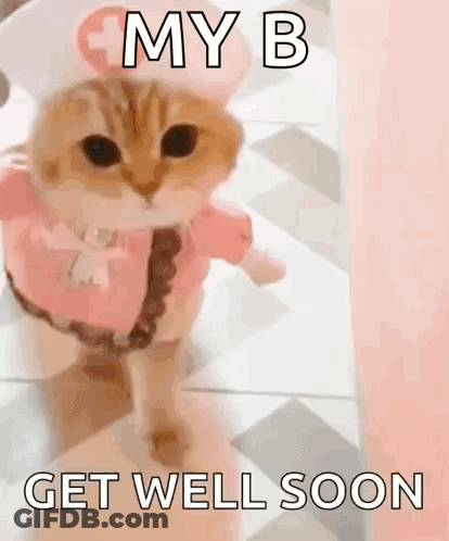A Cat Dressed As A Nurse Is Standing On A Checkered Floor . GIF