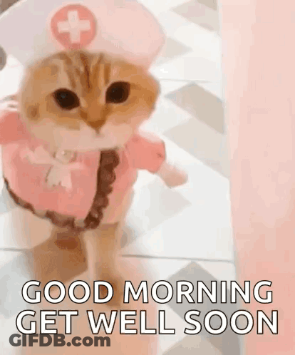 A Cat Dressed As A Nurse Is Walking On The Floor And Says `` Good Morning Get Well Soon '' . GIF
