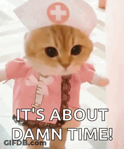 A Cat Dressed As A Nurse With The Words It 'S About Damn Time Written Below It GIF