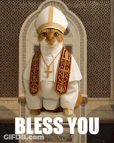 A Cat Dressed As A Pope Is Sitting On A Throne With The Words Bless You Behind It GIF