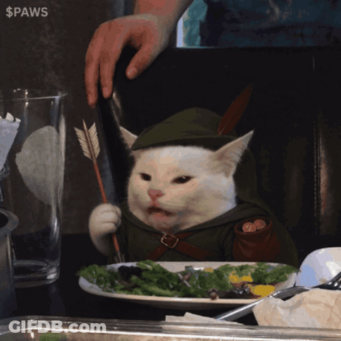 A Cat Dressed As Robin Hood Is Holding An Arrow And A Plate Of Food GIF