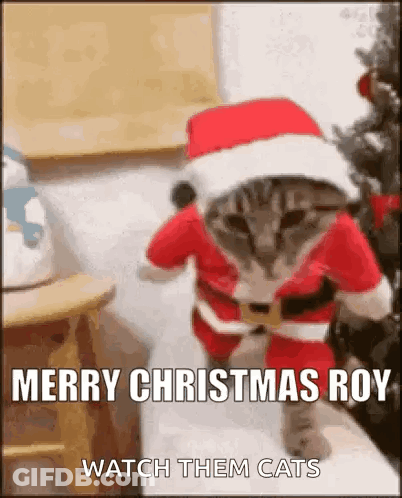 A Cat Dressed As Santa Claus Is Standing In Front Of A Christmas Tree And Says Merry Christmas Roy . GIF