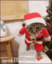 A Cat Dressed As Santa Claus Is Standing Next To A Stool And A Christmas Tree . GIF