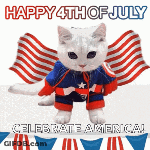 A Cat Dressed In A Captain America Costume Says " Happy 4Th Of July Celebrate America " GIF
