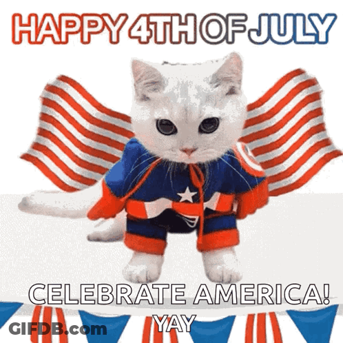 A Cat Dressed In A Captain America Costume Says Happy 4Th Of July GIF
