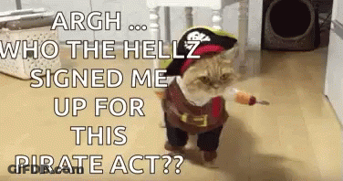 A Cat Dressed In A Pirate Costume Is Walking On The Floor GIF