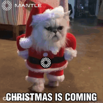 A Cat Dressed In A Santa Claus Outfit With The Words Christmas Is Coming Below It GIF