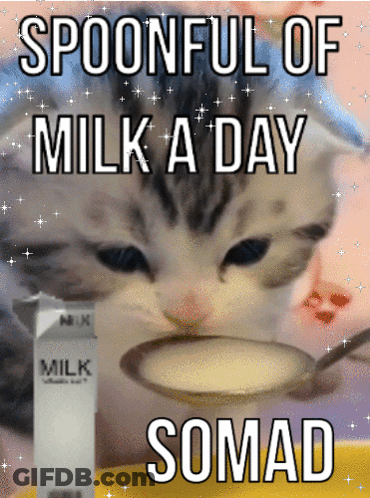 A Cat Drinking Milk From A Spoon Next To A Box Of Milk GIF