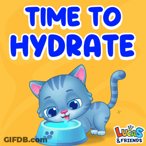 A Cat Drinking Water From A Blue Bowl With The Words Time To Hydrate Above It GIF