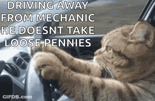 A Cat Driving A Car With The Caption Driving Away From Mechanic He Does Nt Take Loose Pennies GIF