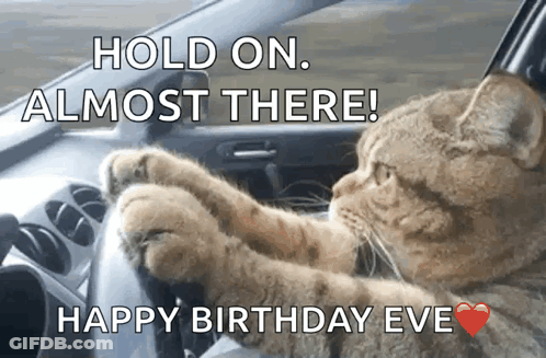 A Cat Driving A Car With The Words Hold On Almost There Happy Birthday Eve GIF