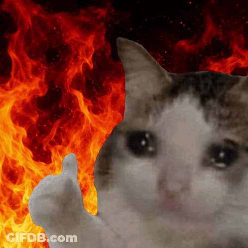 A Cat Giving A Thumbs Up In Front Of Fire GIF