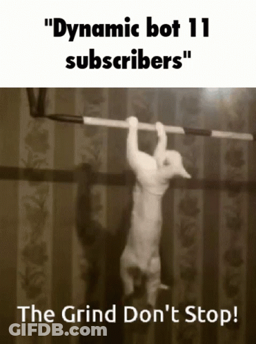 A Cat Hangs Upside Down On A Bar With The Caption Dynamic Bot 11 Subscribers The Grind Don 'T Stop GIF