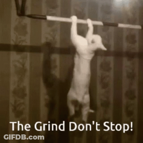 A Cat Hangs Upside Down On A Bar With The Words " The Grind Don 'T Stop " Written Below It GIF