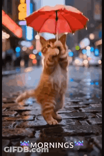 A Cat Holding A Red Umbrella In The Rain With The Words Mornings Below It GIF