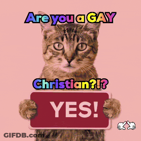 A Cat Holding A Sign That Says " Yes " GIF