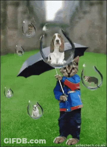 A Cat Holding An Umbrella With A Dog In A Bubble Behind It GIF