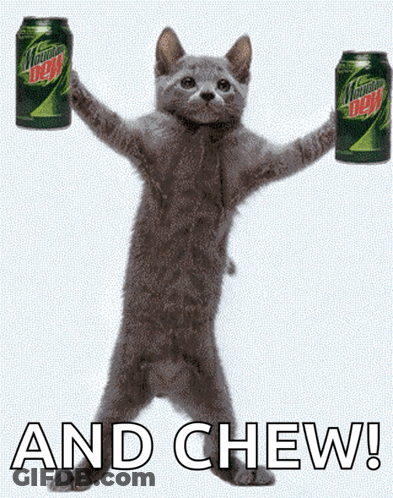 Cat Holding Two Mountain Dew Cans GIF