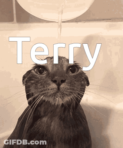 A Cat In A Bathtub With The Word Terry On The Bottom GIF