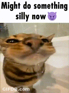 A Cat In A Bathtub With The Words Might Do Something Silly Now GIF