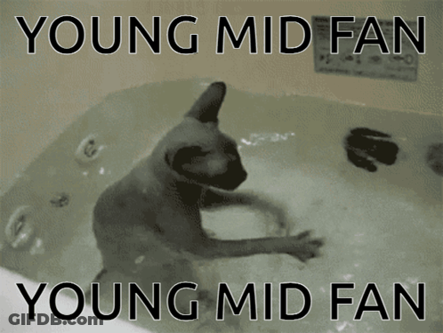 A Cat In A Bathtub With The Words Young Mid Fan Young Mid Fan GIF