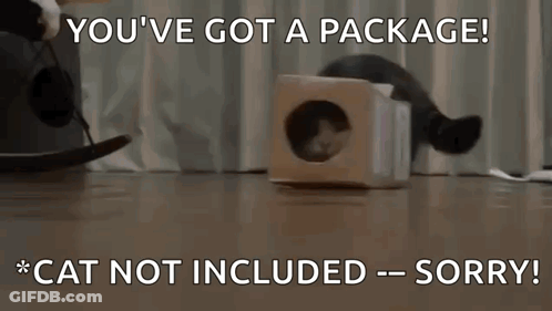 A Cat In A Cardboard Box With A Caption That Says " You 'Ve Got A Package Cat Not Included Sorry " GIF