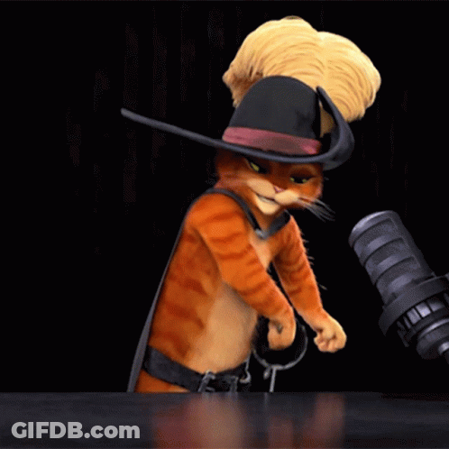 A Cat In A Cowboy Hat Is Holding A Sword GIF