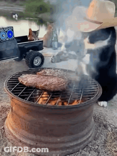 A Cat In A Cowboy Hat Is Standing Next To A Grill GIF