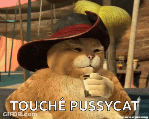 A Cat In A Pirate Hat Is Holding A Cup Of Coffee And Says " Touche Pussycat " GIF