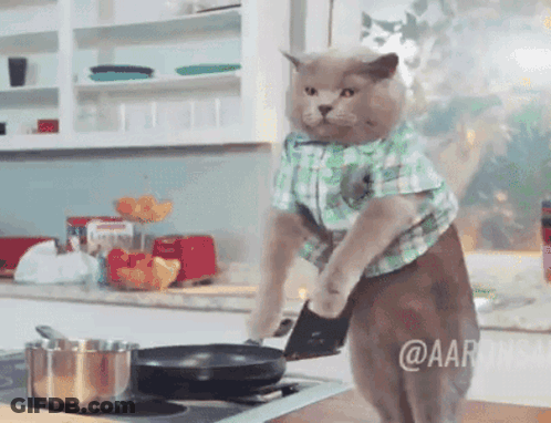 A Cat In A Plaid Shirt Is Standing On Its Hind Legs Holding A Frying Pan GIF