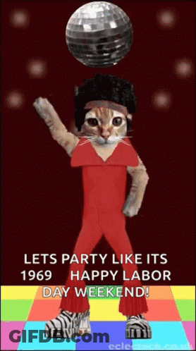 A Cat In A Red Jumpsuit Is Dancing With A Disco Ball In The Background GIF