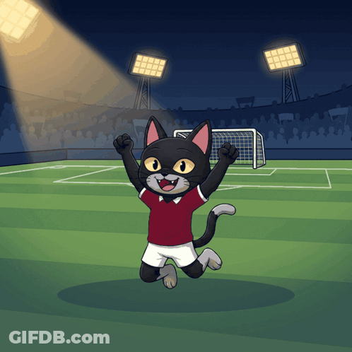 A Cat In A Red Shirt And White Shorts Is Jumping In The Air GIF