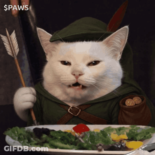 A Cat In A Robin Hood Costume Is Holding An Arrow And Eating A Salad GIF