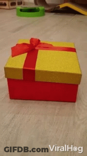 A Cat In A Santa Hat Is Coming Out Of A Gift Box GIF