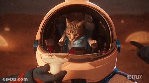 A Cat In An Astronaut 'S Helmet With A Netflix Logo Behind It GIF